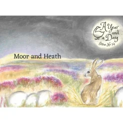 A Year and a Day Magazine - Issue 14: Summer 2023