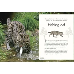 An Anthology of Aquatic Life