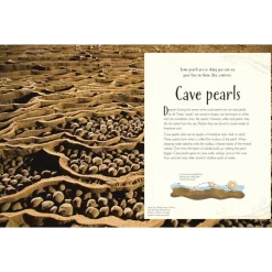 An Anthology of Our Extraordinary Earth