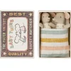 Baby Mice Twins In a Matchbox