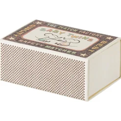 Baby Mice Twins In a Matchbox