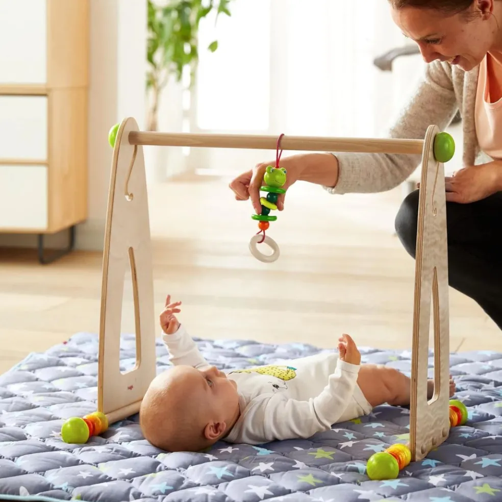 Color Fun Wooden Play Gym And Activity Center