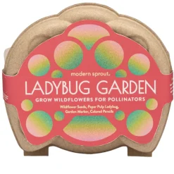 Curious Critter Ladybug Garden Kit
