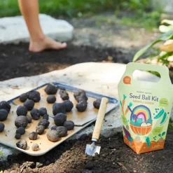 DIY Seed Ball Kit  Rainbow Garden