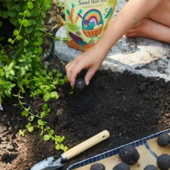 DIY Seed Ball Kit  Rainbow Garden
