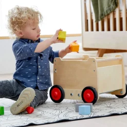 Dragon Wagon Baby Walker