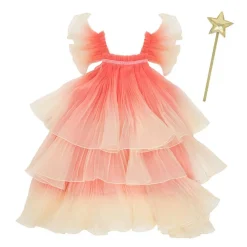 Fancy Fairy Costume