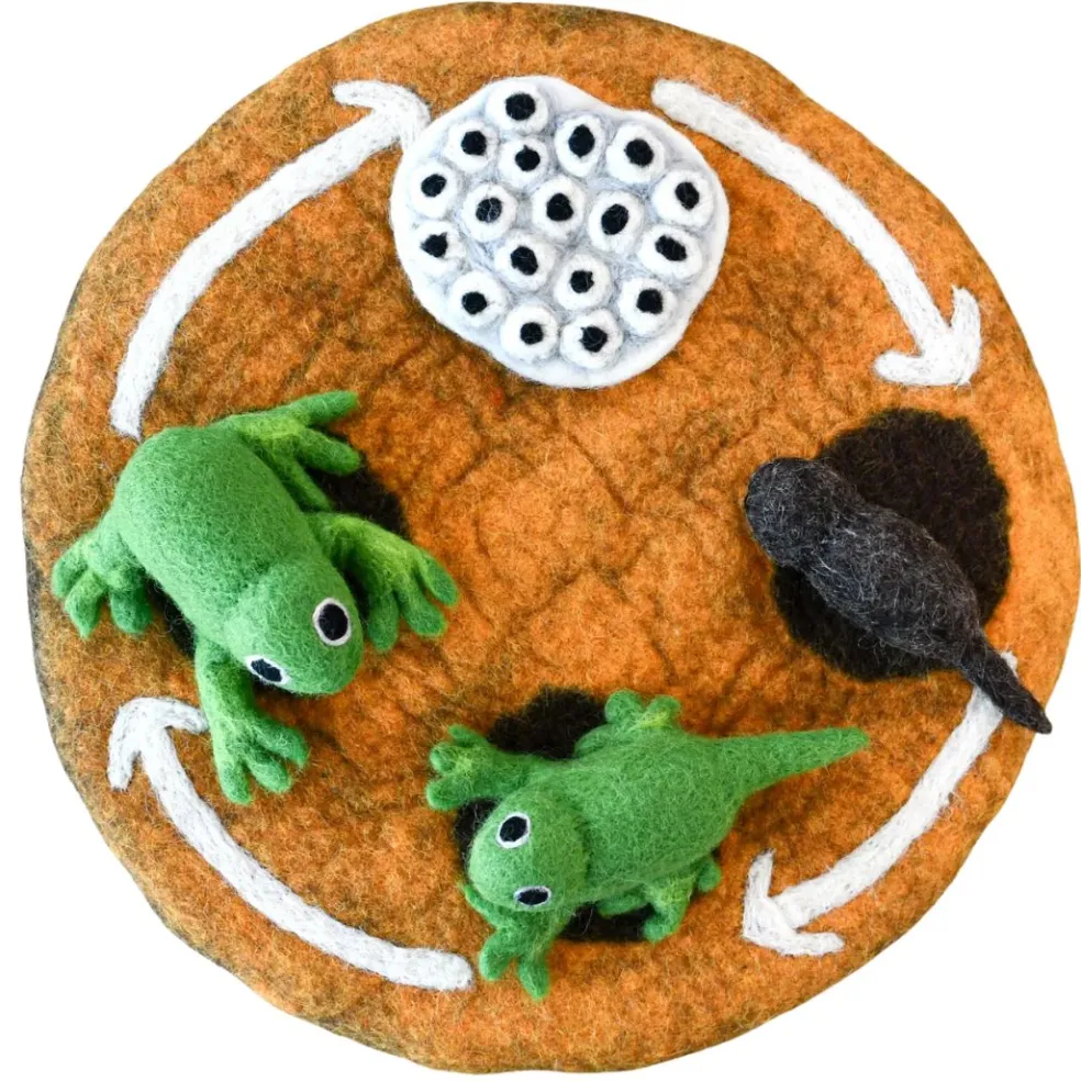 Felt Lifecycle of a Frog Set