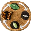 Felted Butterfly Life Stages Set with Playmat