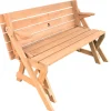 2 in 1 Picnic Table and Bench