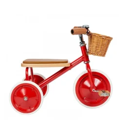 Kid's Modern Tricycle (Multiple Colors)