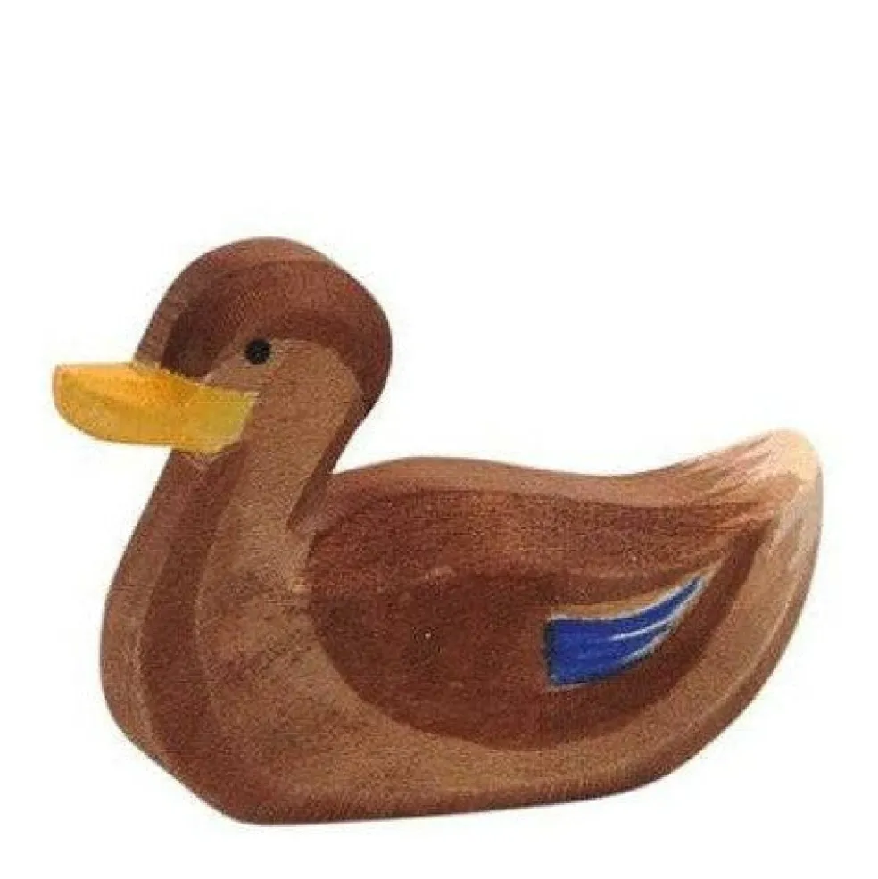 Ostheimer Duck, Swimming