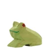 Ostheimer Frog