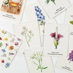 Pick a Flower Memory Card Game