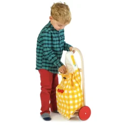 Pull Along Shopping Trolley
