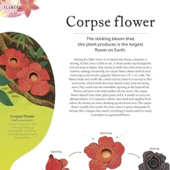 The Secret World of Plants