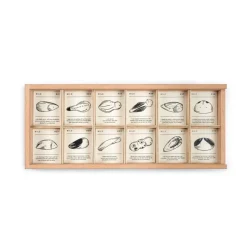 Wild: Exploration Play Set and Sorting Tray