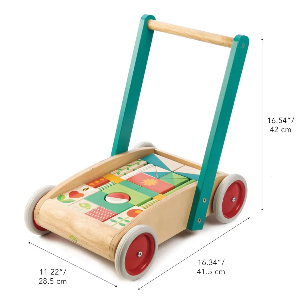 Wooden Baby Walker and Garden Blocks Set