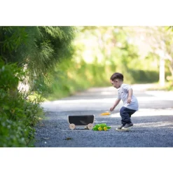 Wooden Chalkboard Wagon