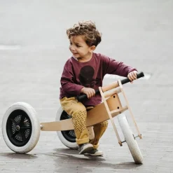 Wooden 3-in-1 Balance Bike / Trike