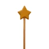 Wooden Star Wand