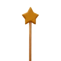 Wooden Star Wand